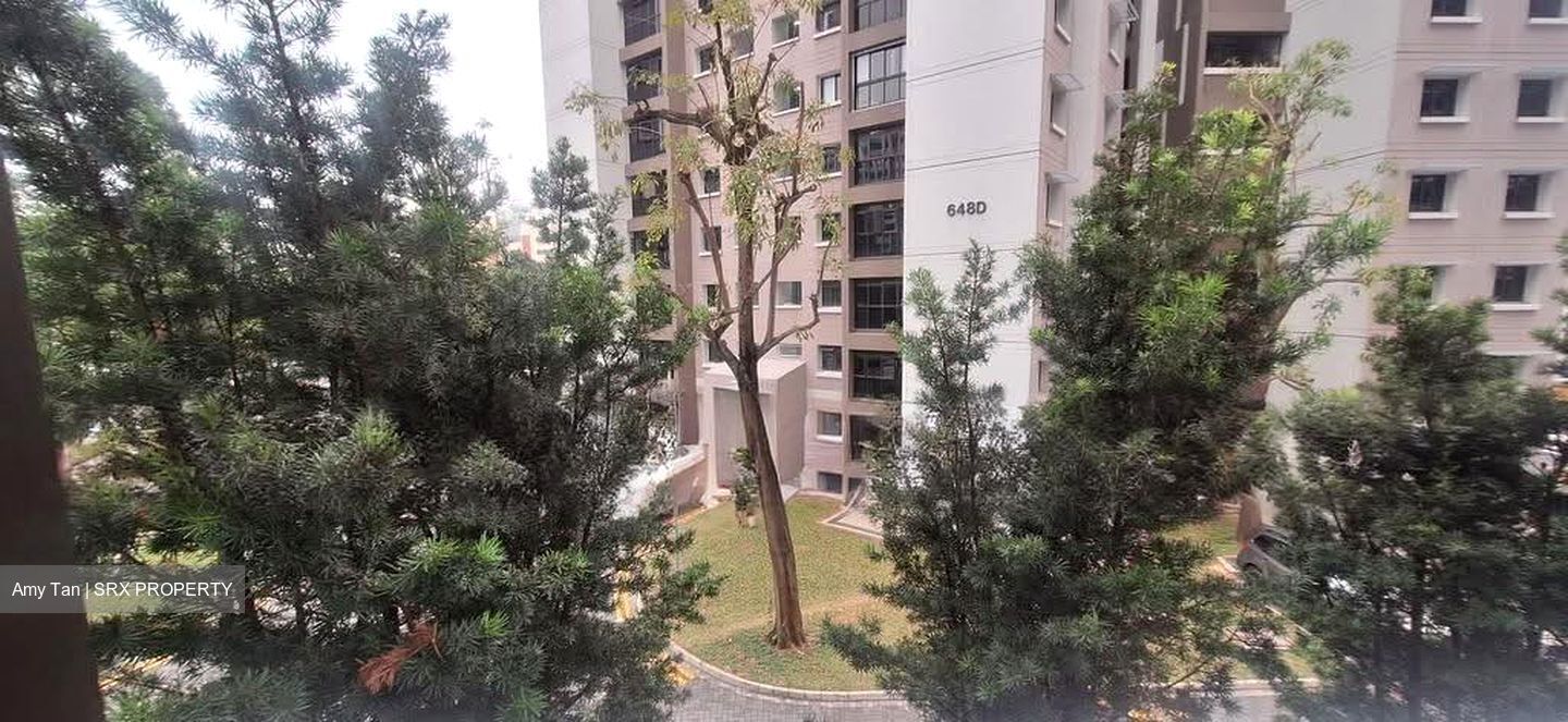 Blk 647 Jurong West Street 61 (Jurong West), HDB 5 Rooms #619558991